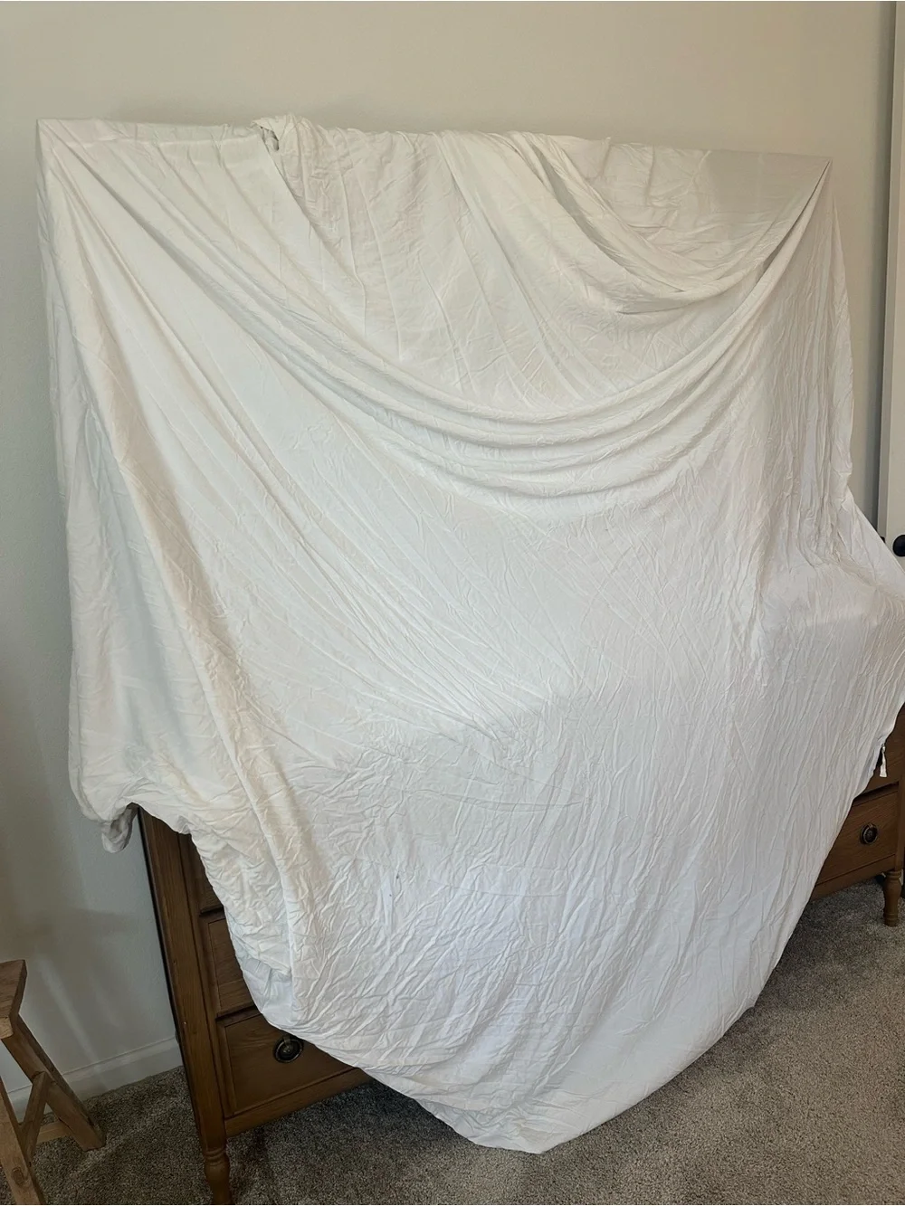 Cozy Earth Bamboo Viscose Duvet Cover King $308 READ